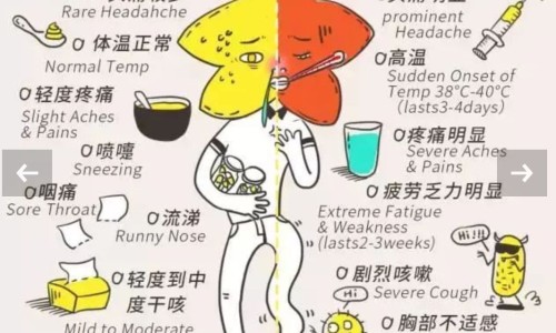 减脂期间脂肪摄入过少影响身体吗-减脂期间脂肪摄入网- 减脂期间脂肪摄入多少知识,分享减脂期间脂肪摄入多少合适
